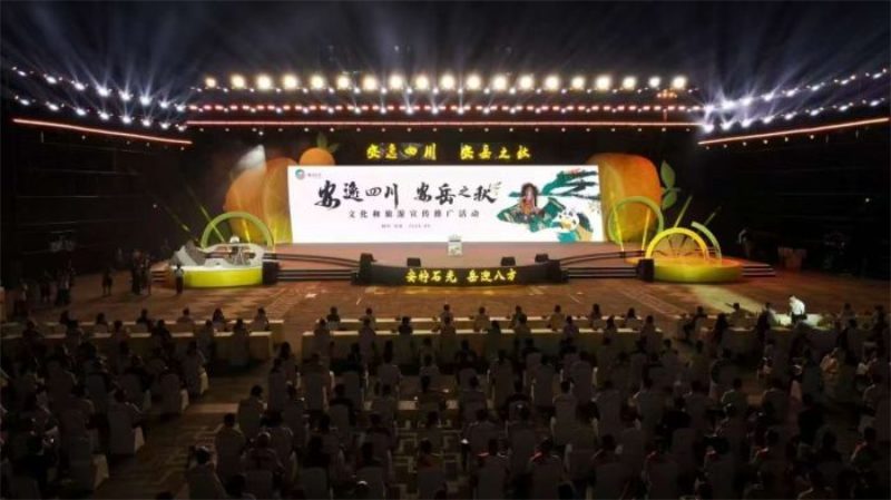 未命名-1.jpg