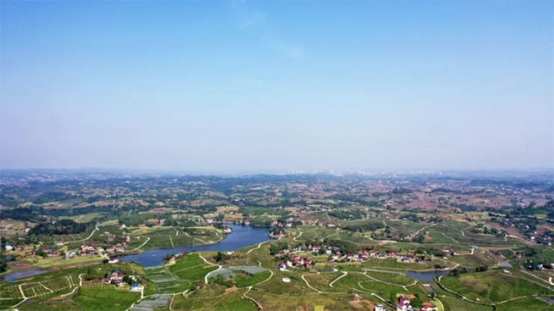 未命名-1.jpg