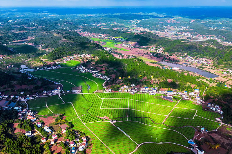 未命名-1.jpg