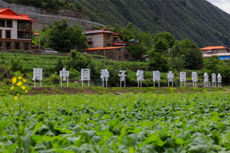 未命名-1.jpg