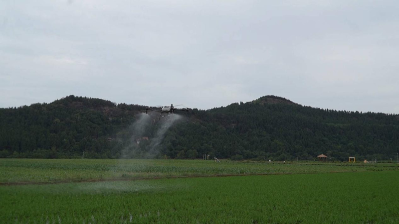 未命名-1.jpg