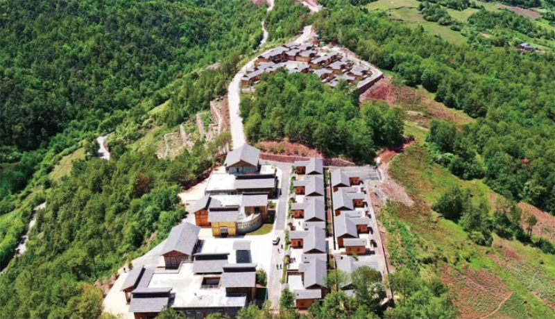 未命名-1.jpg