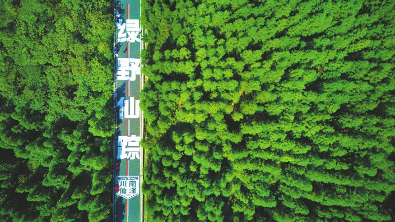 未命名-1.jpg