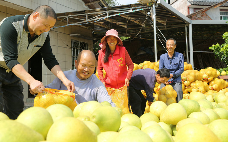 未命名-1.jpg