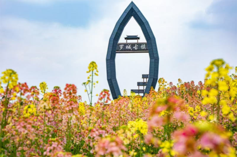 未命名-1.jpg