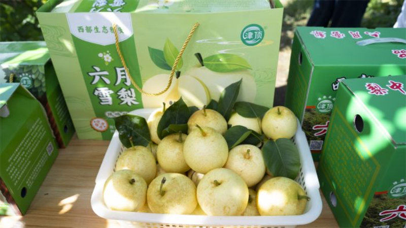未命名-1.jpg