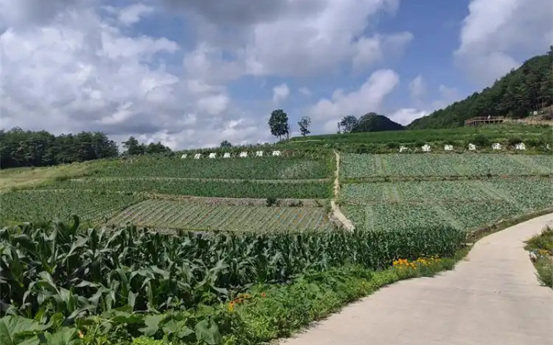 未命名-1.jpg