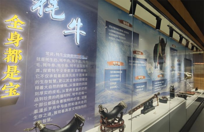 未命名-1.jpg
