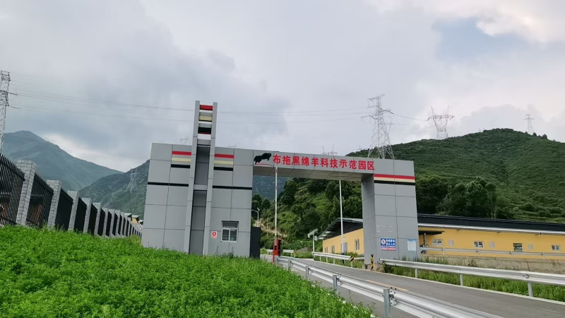 未命名-1.jpg