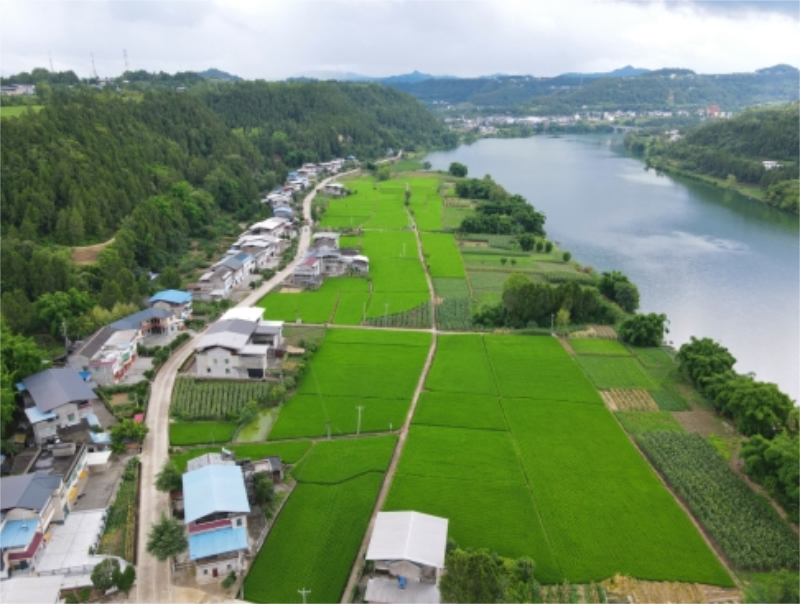 未命名-1.jpg