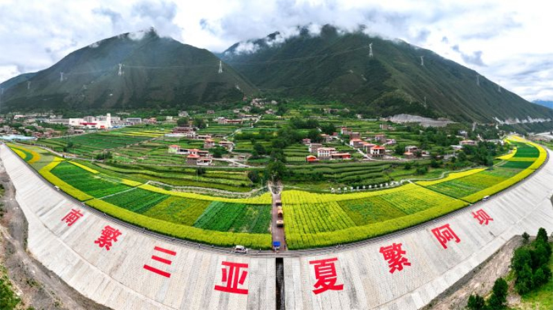 未命名-1.jpg