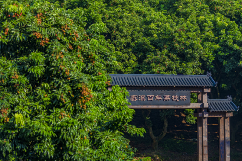 未命名-1.jpg