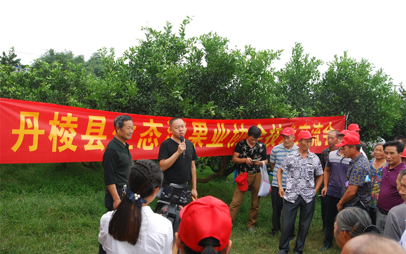 未命名-1.jpg