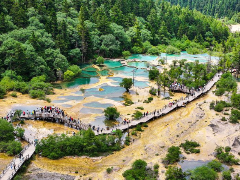 未命名-1.jpg