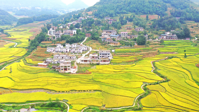未命名-1.jpg
