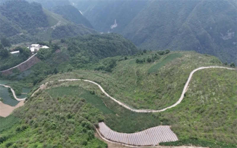 未命名-1.jpg