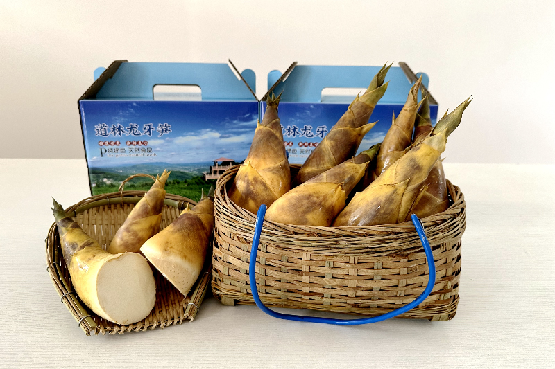 未命名-1.jpg