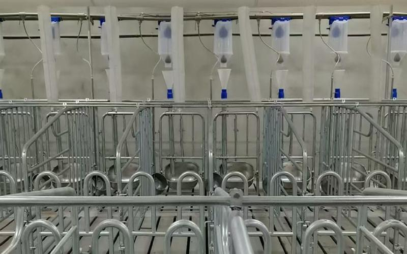 1756345931961927.jpg 未命名-1.jpg