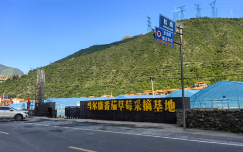 未命名-1.jpg