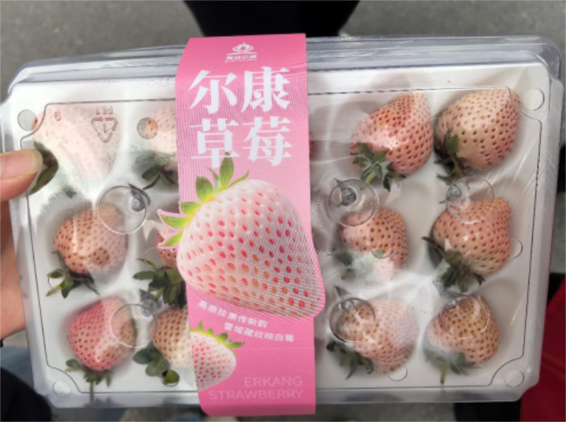 未命名-1.jpg