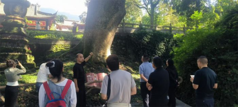 未命名-1.jpg
