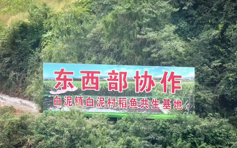 未命名-1.jpg