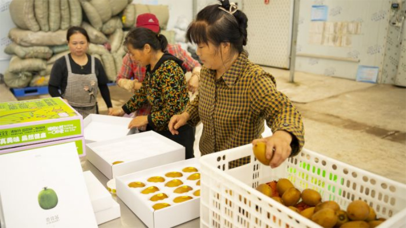 未命名-1.jpg