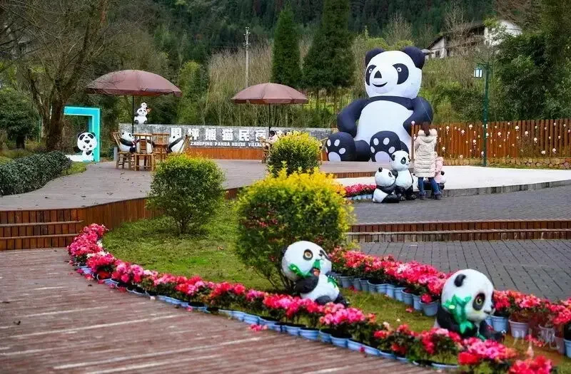未命名-1.jpg