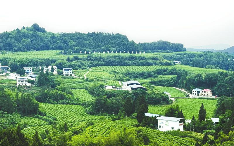 未命名-1.jpg
