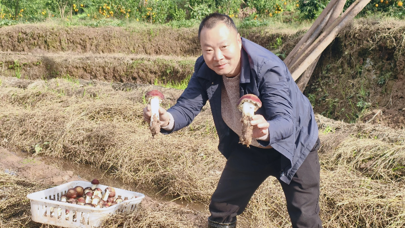 未命名-1.jpg