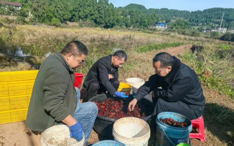未命名-1.jpg