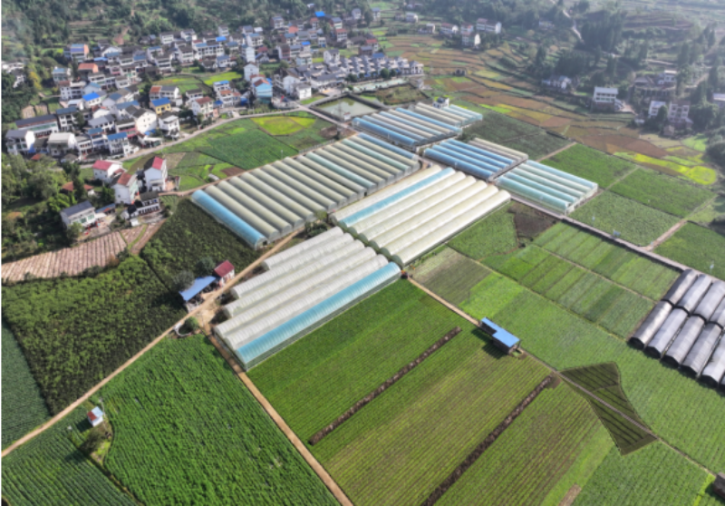 1765025079154326.png 1-2IMG_202512053861_800x558.png