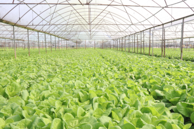 1765025149456948.png 1-5IMG_202512067813_800x533.png