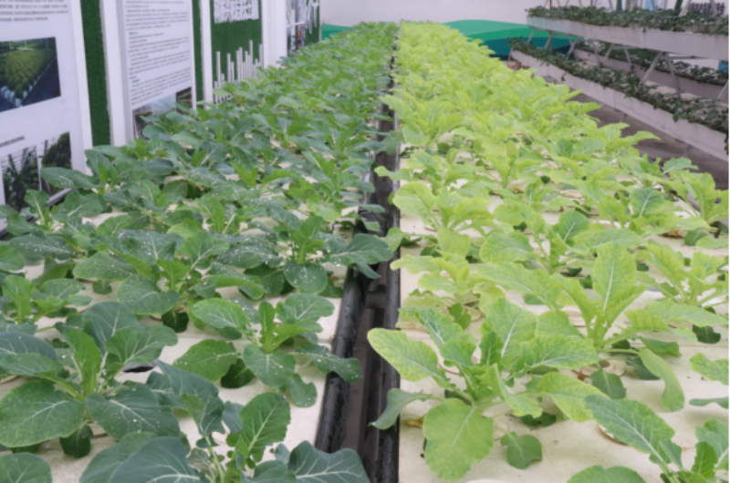 1765025165534109.png 1-6IMG_202512056878_800x530.png