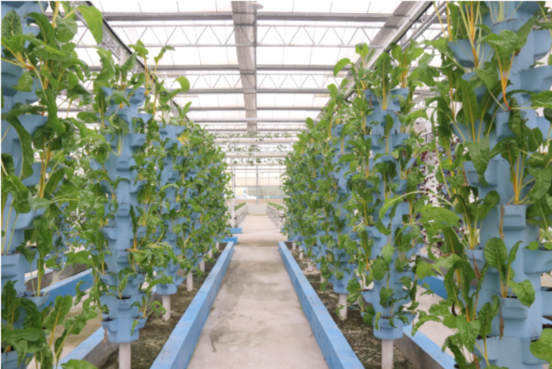 1765025180173609.png 1-7IMG_202512052211_800x535.png