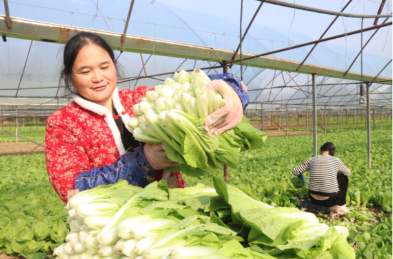 1765025352791155.png 1-15IMG_202512063971_800x529.png