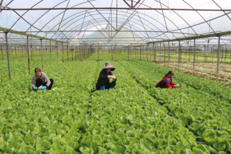 1765025366633889.png 2-14IMG_202512061110_800x534.png