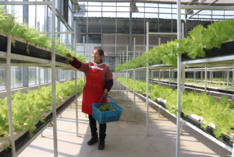 1765025380398457.png 1-13IMG_202512061075_800x537.png