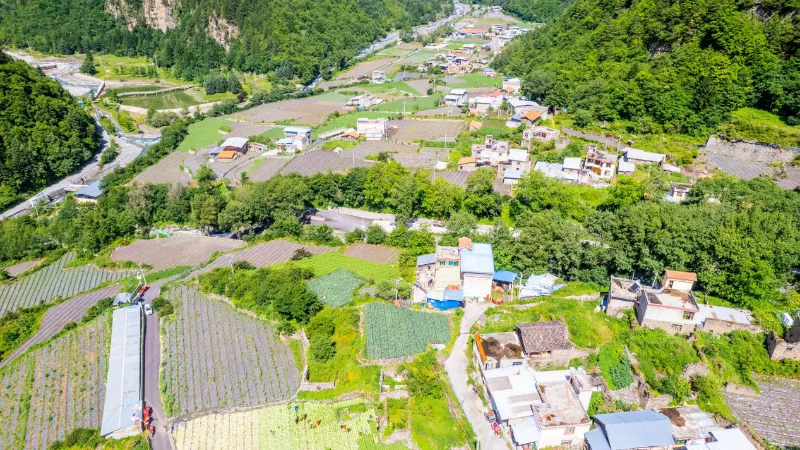未命名-1.jpg