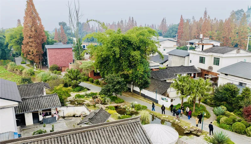 未命名-1.jpg