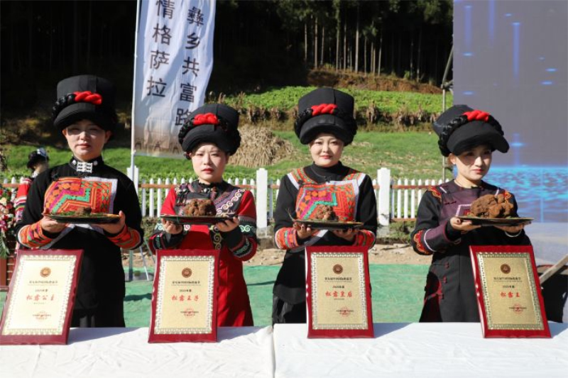 未命名-1.jpg