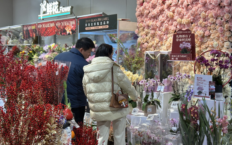 未命名-1.jpg