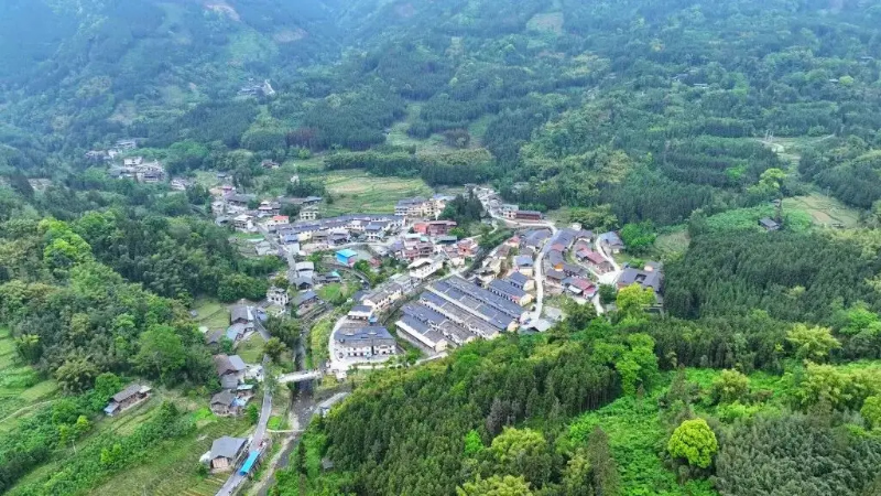 未命名-1.jpg