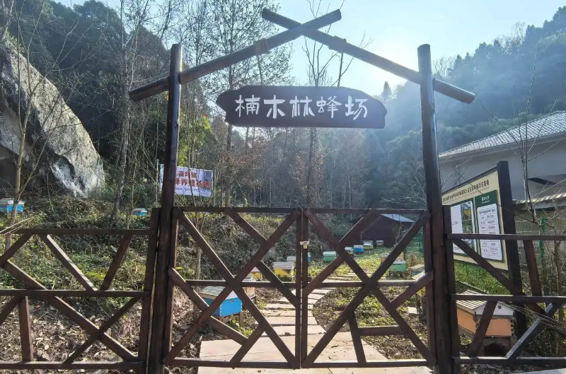 未命名-1.jpg