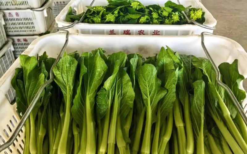 1768547762273302.jpg 未命名-1.jpg