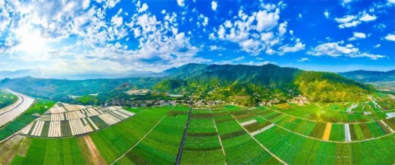 未命名-1.jpg