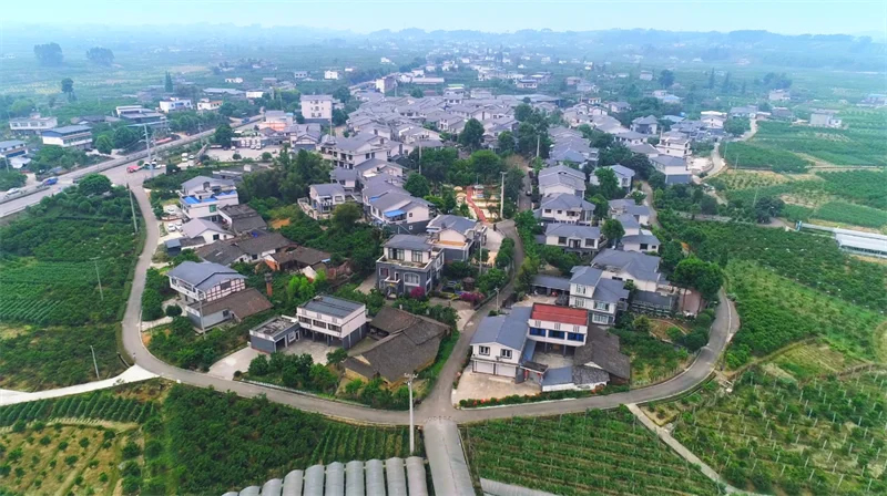 未命名-1.jpg