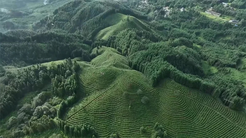 1769413297913391.jpg 未命名-1.jpg