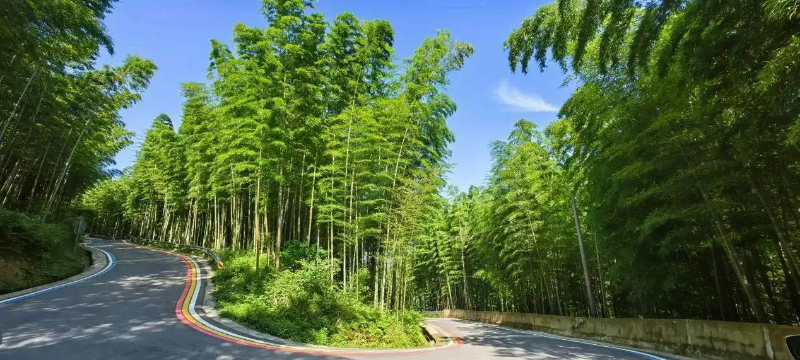 未命名-1.jpg