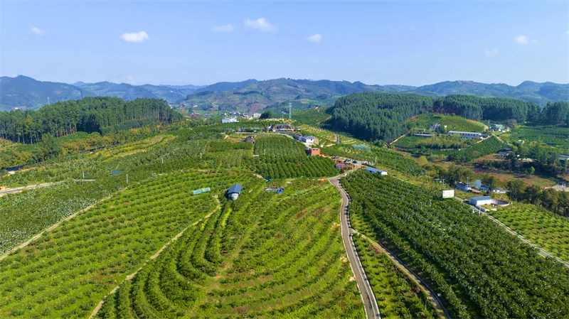 未命名-1.jpg